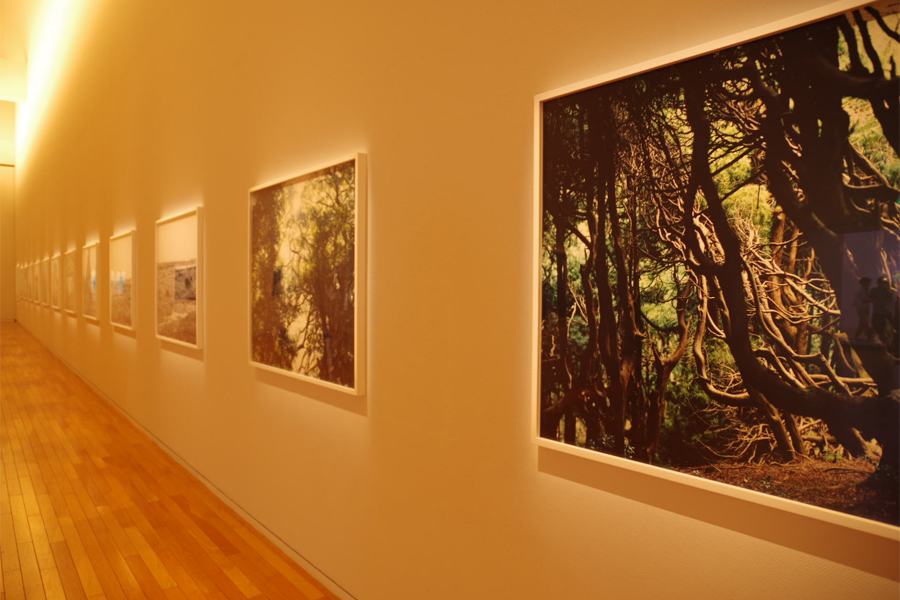 Risaku Suzuki『意識の流れ』展＠東京オペラシティ｜hanauta｜こまもの